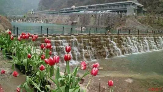 救援受困的小恐龙