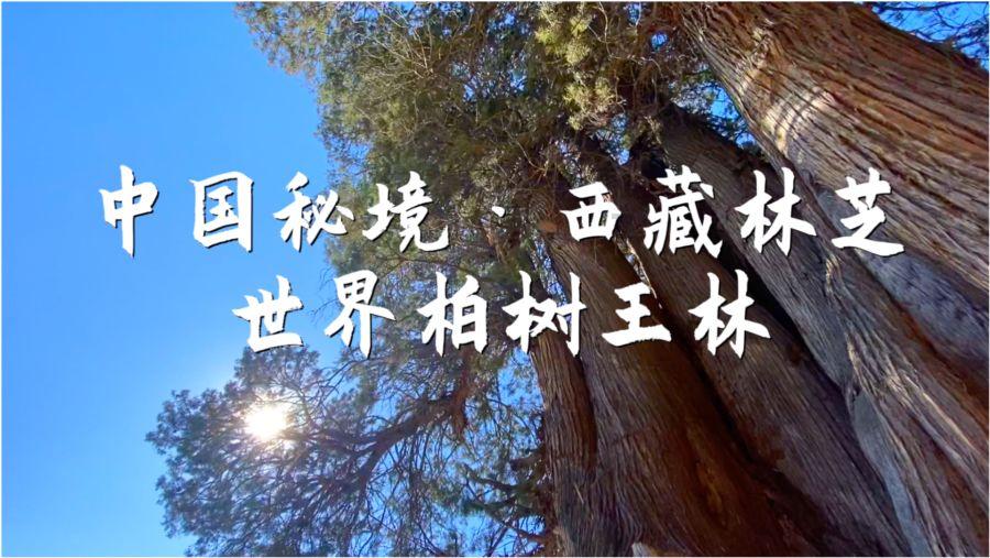 不论男女,50岁后若没有这3种病,恭喜,你可能拥有长寿体质!