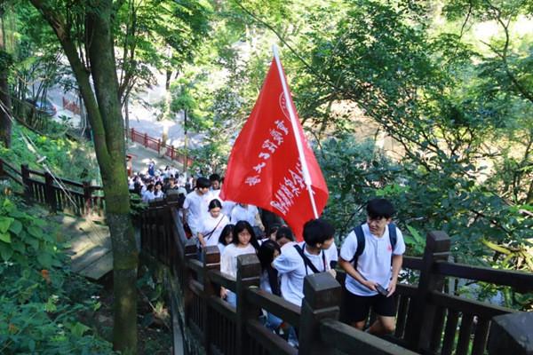 国王的坐骑