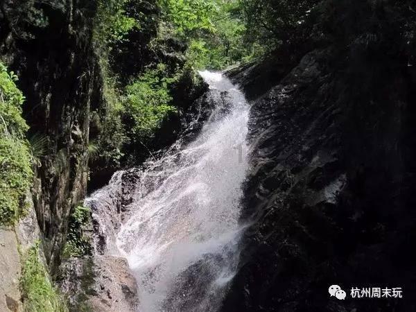 牛油果面包